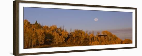 Fall Trees Moon II-Linden Sally-Framed Premium Giclee Print