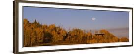 Fall Trees Moon II-Linden Sally-Framed Premium Giclee Print