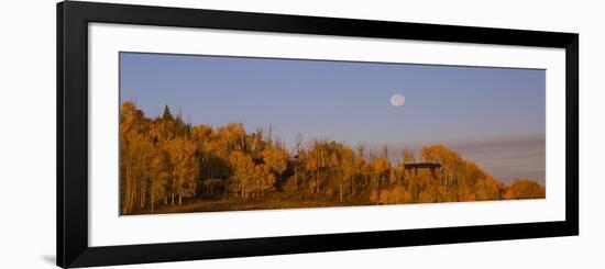 Fall Trees Moon II-Linden Sally-Framed Premium Giclee Print