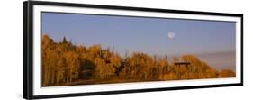 Fall Trees Moon II-Linden Sally-Framed Premium Giclee Print