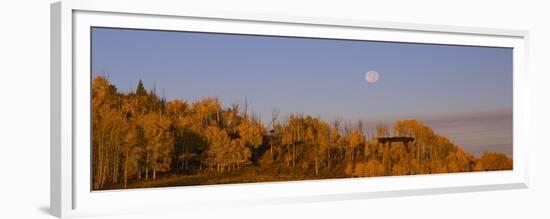 Fall Trees Moon II-Linden Sally-Framed Premium Giclee Print