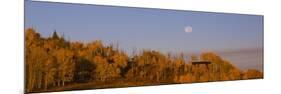 Fall Trees Moon II-Linden Sally-Mounted Premium Giclee Print