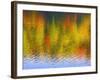 Fall Trees Reflected in Lake-Owaki-Framed Photographic Print