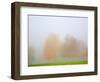 Fall trees shrouded in mist-Craig Tuttle-Framed Photographic Print