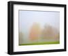 Fall trees shrouded in mist-Craig Tuttle-Framed Photographic Print