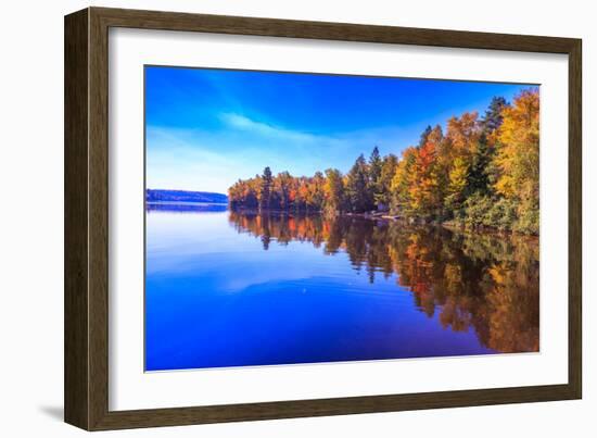 Fall Trees with Reflection-Imran Ashraf-Framed Photographic Print