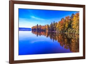 Fall Trees with Reflection-Imran Ashraf-Framed Photographic Print