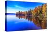 Fall Trees with Reflection-Imran Ashraf-Stretched Canvas