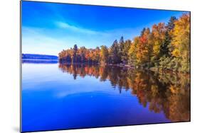 Fall Trees with Reflection-Imran Ashraf-Mounted Photographic Print