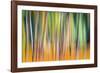 Fall Trees-Ursula Abresch-Framed Photographic Print