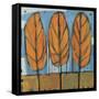 Fall Trees-Tim Nyberg-Framed Stretched Canvas