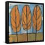 Fall Trees-Tim Nyberg-Framed Stretched Canvas