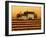 Fall Vineyard-Lowell Herrero-Framed Art Print