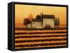 Fall Vineyard-Lowell Herrero-Framed Stretched Canvas