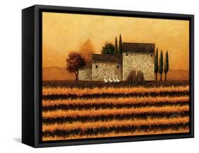 Fall Vineyard-Lowell Herrero-Framed Stretched Canvas