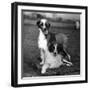 Fall, Water Dog, 1956-Thomas Fall-Framed Photographic Print