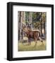 Fall Whitetail-Russell Cobane-Framed Art Print