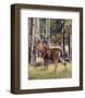 Fall Whitetail-Russell Cobane-Framed Art Print