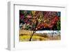 Fall-Ursula Abresch-Framed Photographic Print