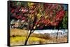 Fall-Ursula Abresch-Framed Stretched Canvas