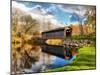 Fallasburg Bridge In Fall-Michelle Calkins-Mounted Photo