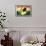 Fallbrook Decal-null-Framed Stretched Canvas displayed on a wall