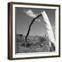 Fallen Branch of a Dead Tree-null-Framed Photographic Print