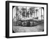 Fallen Colossal Statue of Rameses the Great, Memphis, Egypt, C1890-G Lekegian-Framed Photographic Print