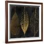 Fallen Gold I-Color Bakery-Framed Giclee Print