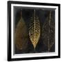 Fallen Gold I-Color Bakery-Framed Giclee Print