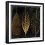 Fallen Gold I-null-Framed Giclee Print