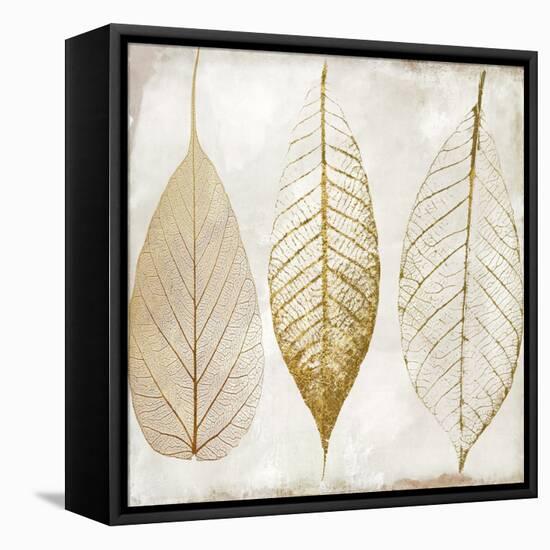 Fallen Gold II-Color Bakery-Framed Stretched Canvas