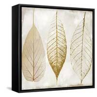 Fallen Gold II-Color Bakery-Framed Stretched Canvas