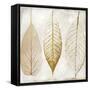 Fallen Gold II-Color Bakery-Framed Stretched Canvas