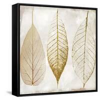 Fallen Gold II-Color Bakery-Framed Stretched Canvas