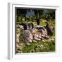 Fallen Greek Columns-Philip Gendreau-Framed Photographic Print