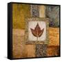 Fallen Leaf I (Red)-Michael Marcon-Framed Stretched Canvas