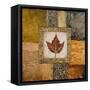 Fallen Leaf I (Red)-Michael Marcon-Framed Stretched Canvas