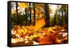 Fallen Leaves in Autumn Forest at Sunny Weather-Sergey Peterman-Framed Stretched Canvas