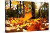Fallen Leaves in Autumn Forest at Sunny Weather-Sergey Peterman-Stretched Canvas