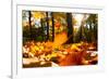 Fallen Leaves in Autumn Forest at Sunny Weather-Sergey Peterman-Framed Photographic Print