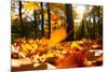 Fallen Leaves in Autumn Forest at Sunny Weather-Sergey Peterman-Mounted Photographic Print