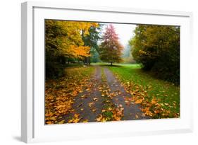 Fallen Leaves on a Road, Washington State, USA-null-Framed Photographic Print