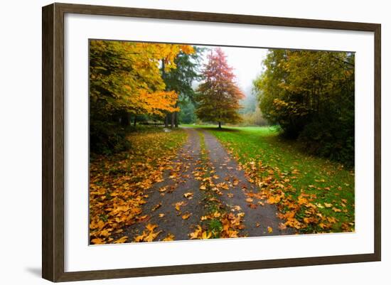 Fallen Leaves on a Road, Washington State, USA-null-Framed Photographic Print