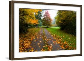 Fallen Leaves on a Road, Washington State, USA-null-Framed Photographic Print