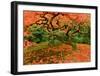 Fallen Leaves-Don Schwartz-Framed Art Print