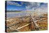 Fallen Lodgepole Pines, Grand Prismatic Spring, Midway Geyser Basin-Eleanor Scriven-Stretched Canvas