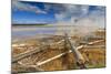 Fallen Lodgepole Pines, Grand Prismatic Spring, Midway Geyser Basin-Eleanor Scriven-Mounted Photographic Print