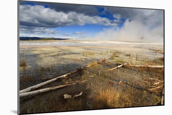 Fallen Lodgepole Pines-Eleanor-Mounted Photographic Print