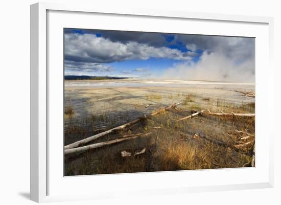 Fallen Lodgepole Pines-Eleanor-Framed Photographic Print